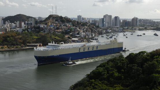 Morning Lynn Morning Lynn