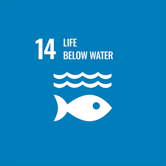 SDG No.14 - Small