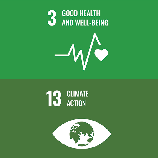 SDG No.03 and 13 - Large