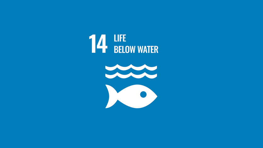 SDG No. 14 - Large SDG No. 14 - Large